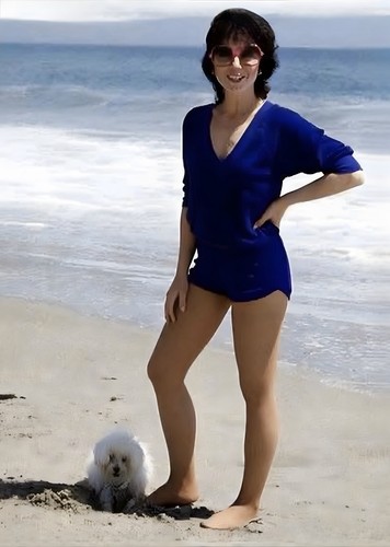Joyce dewitt la compagnia - dewitt',